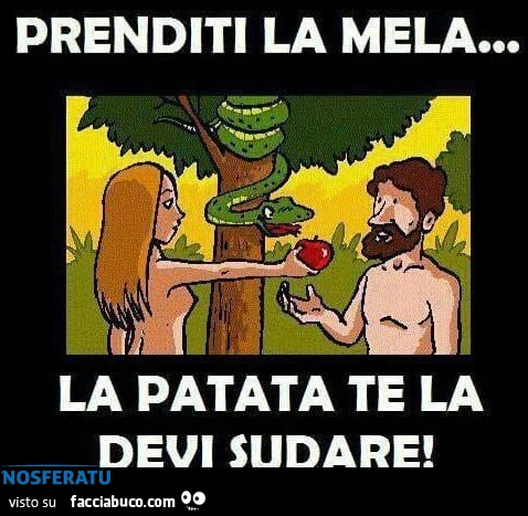 La patata te la devi sudare