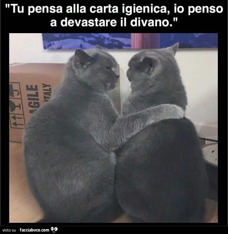 Vaccata
