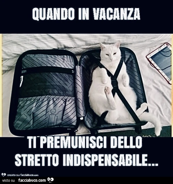 Vaccata