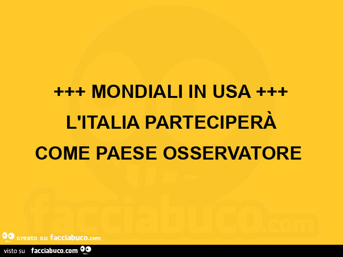 Mondiali in usa. L'italia parteciperà come paese osservatore
