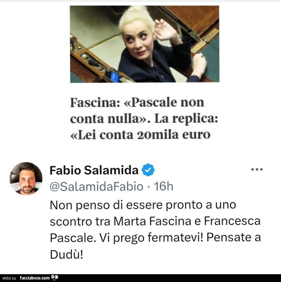 Fascina: pascale non conta nulla. La replica: lei conta 20mila euro. Non penso di essere pronto a uno scontro tra marta fascina e francesca pascale. Vi prego fermatevi! Pensate a dudù