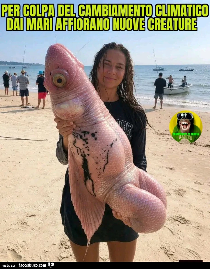 Per colpa del cambiamento climatico dai mari affiorano nuove creature