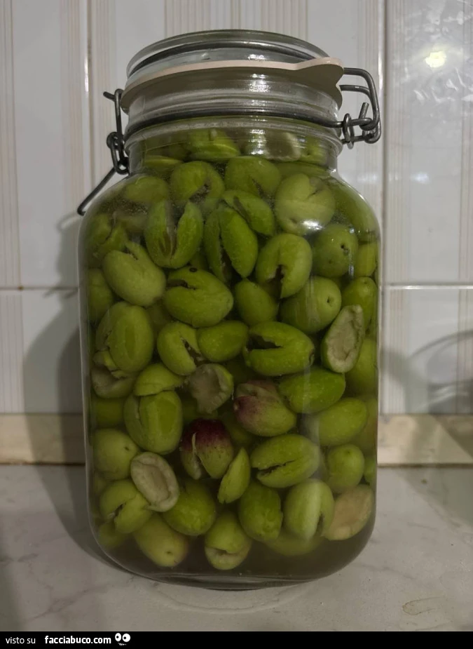 Vaccata