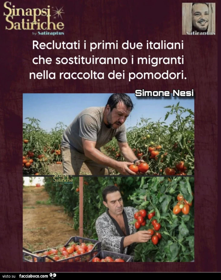 Vaccata