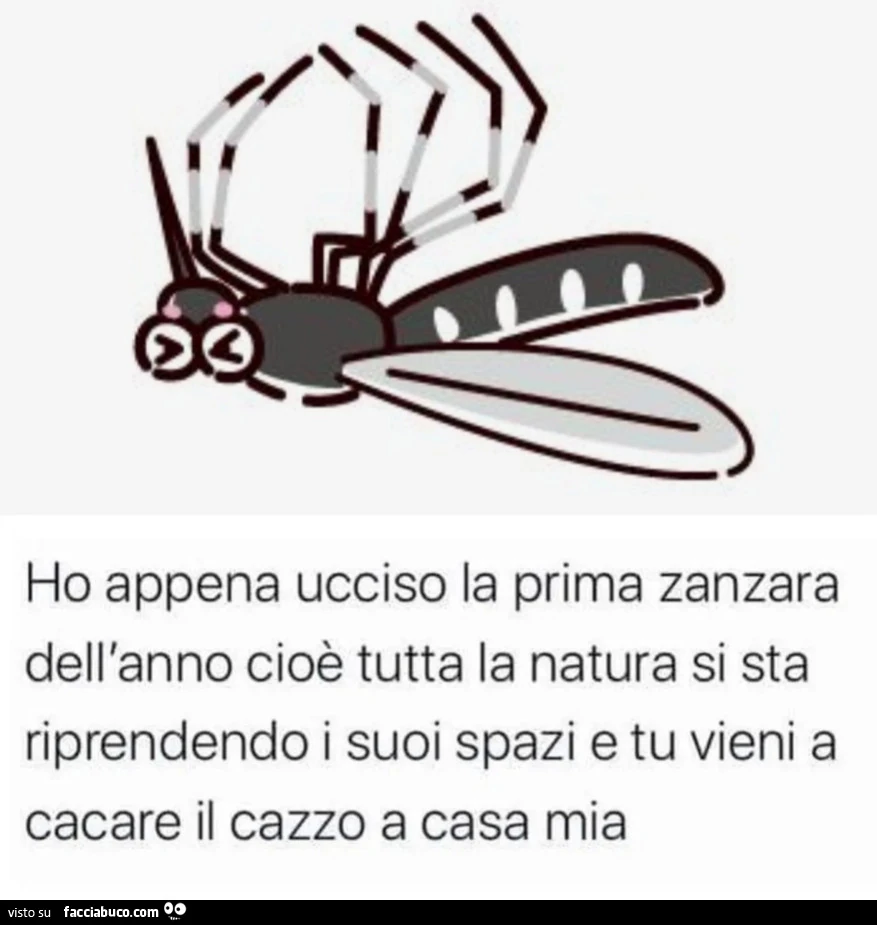Ho appena ucciso la prima zanzara dell'anno cioè tutta la natura si sta riprendendo i suoi spazi e tu vieni a cacare il cazzo a casa mia