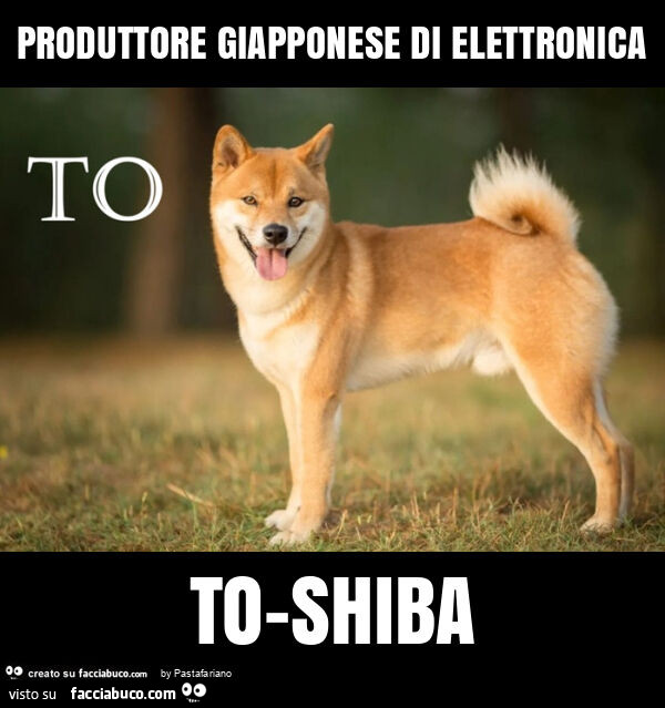 Produttore giapponese di elettronica to-shiba