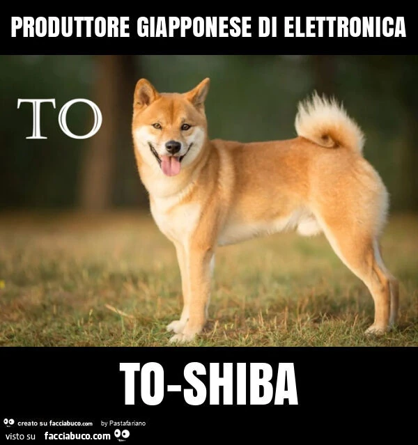 Produttore giapponese di elettronica to-shiba