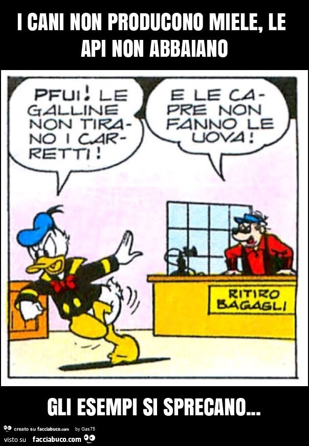 I cani non producono miele, le api non abbaiano gli esempi si sprecano