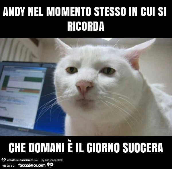 Andy nel momento stesso in cui si ricorda che domani è il giorno suocera