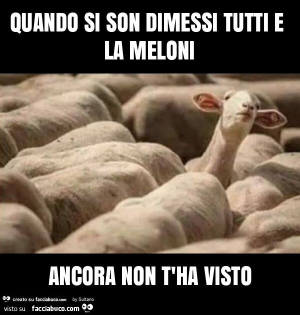 Quando si son dimessi tutti e la meloni ancora non t'ha visto