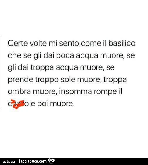 Certe volte mi sento come il basilico che se gli dai poca acqua muore, se gli dai troppa acqua muore, se prende troppo sole muore, troppa ombra muore, insomma rompe il ccazzo e poi muore