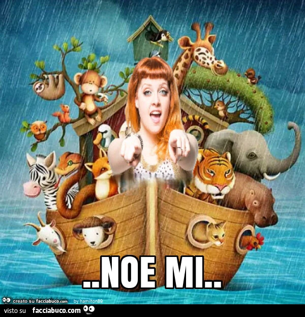 Noe mi
