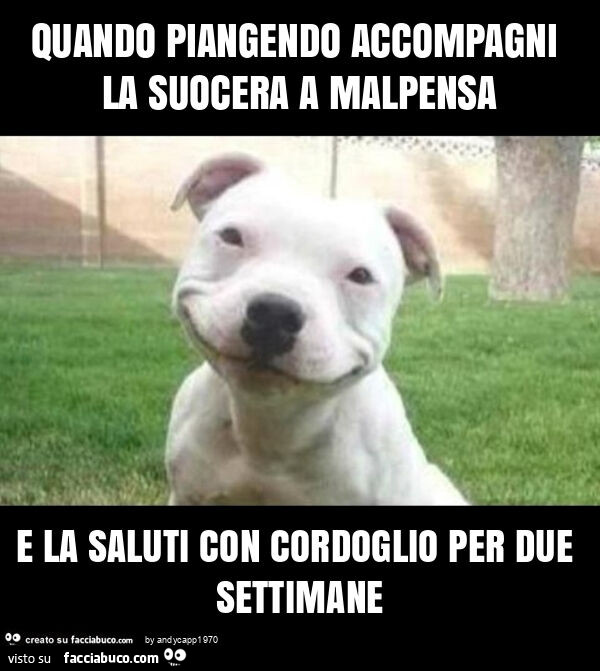 Quando piangendo accompagni la suocera a malpensa e la saluti con cordoglio per due settimane