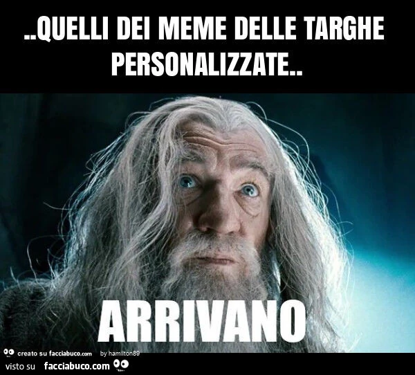Quelli dei meme delle targhe personalizzate