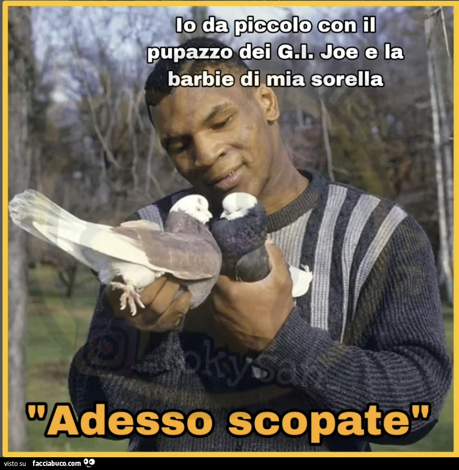 Vaccata