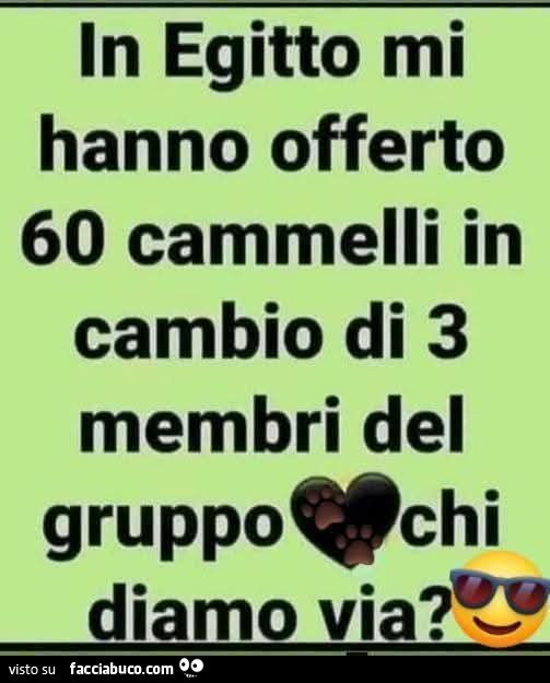 Vaccata