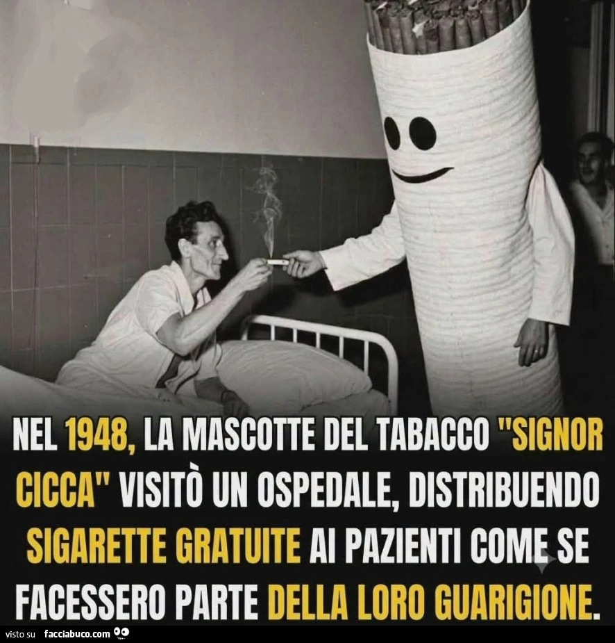 Vaccata