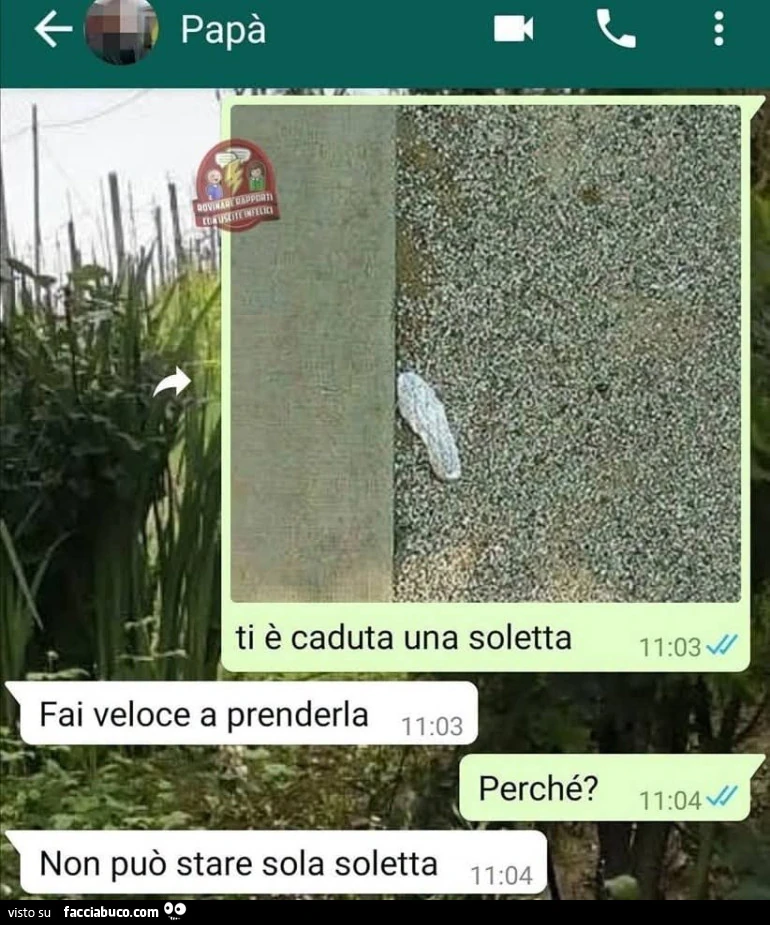 Vaccata