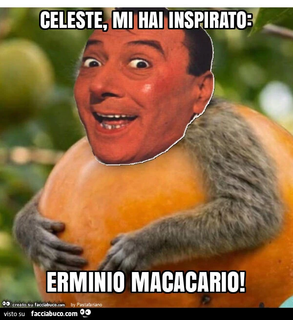 Celeste, mi hai inspirato: erminio macacario