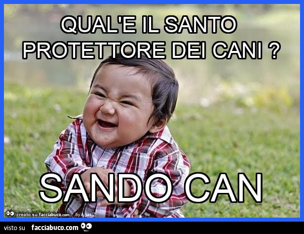 Qual'e il santo protettore dei cani? Sando can