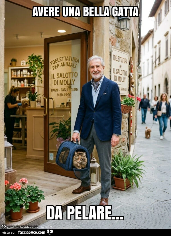 Avere una bella gatta da pelare