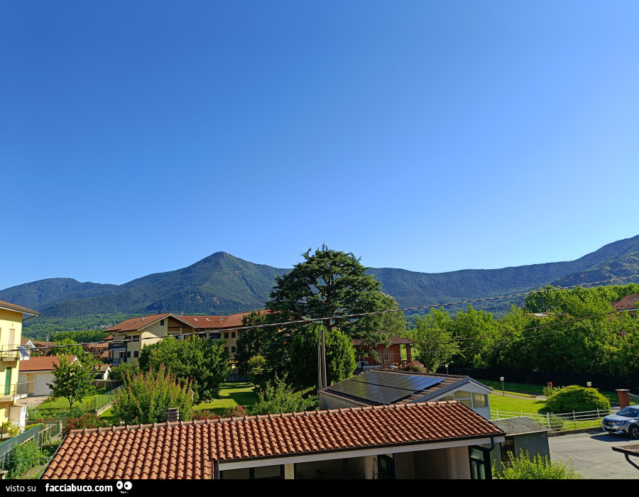 Vaccata