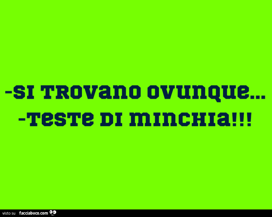 Si trovano ovunque&hellip; teste di minchia