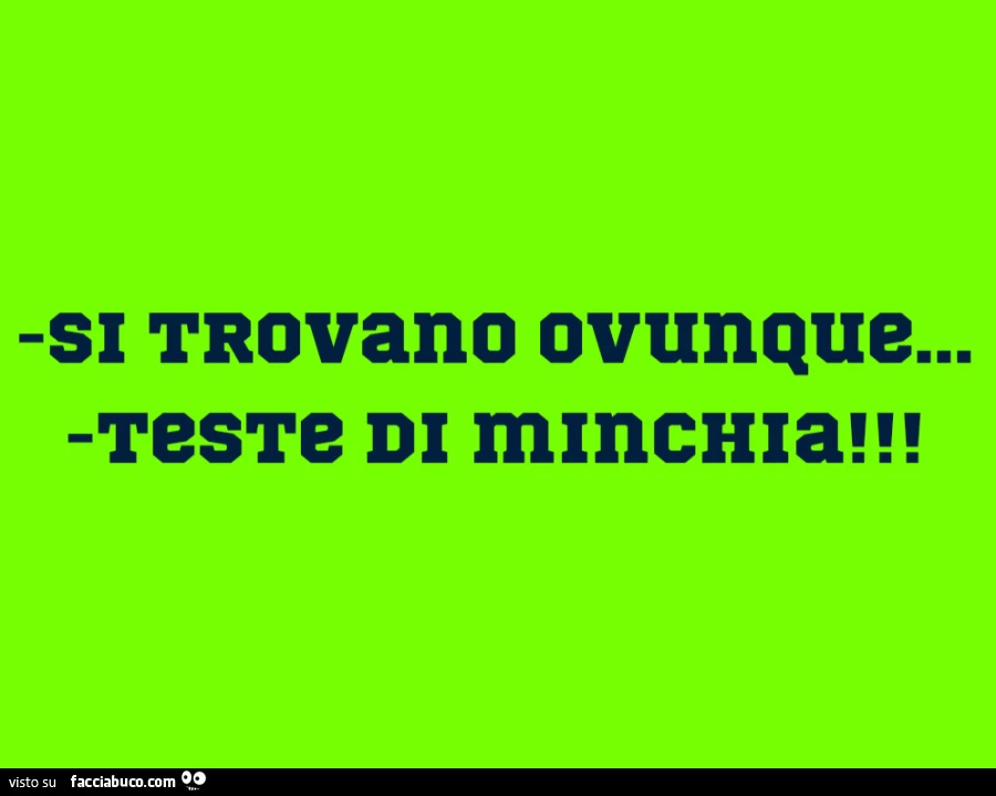 Si trovano ovunque&hellip; teste di minchia