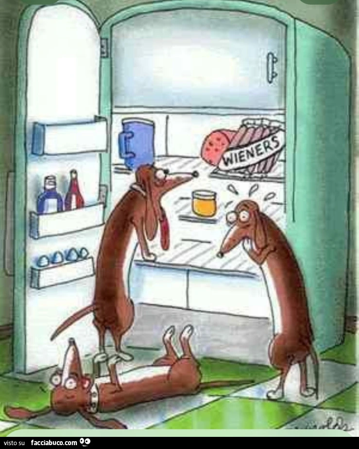 Hot dog