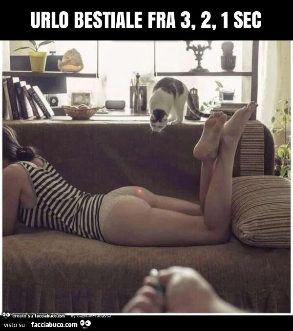 Urlo bestiale fra 3, 2, 1 sec
