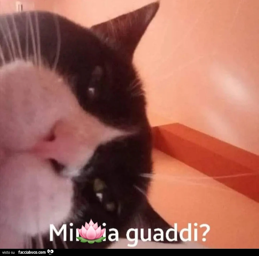 Sguardi