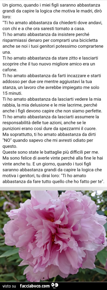 Un giorno, quando i miei figli saranno abbastanza grandi da capire la logica che motiva le madri, dirà loro: "Ti ho amato abbastanza da chiederti dove andavi, con chi e a che ora saresti tornato a casa Ti ho amato abbastanza