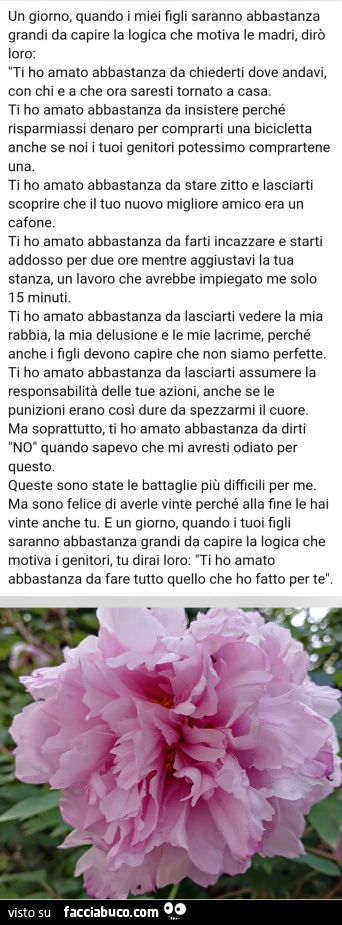 Un giorno, quando i miei figli saranno abbastanza grandi da capire la logica che motiva le madri, dirà loro: "Ti ho amato abbastanza da chiederti dove andavi, con chi e a che ora saresti tornato a casa Ti ho amato abbastanza