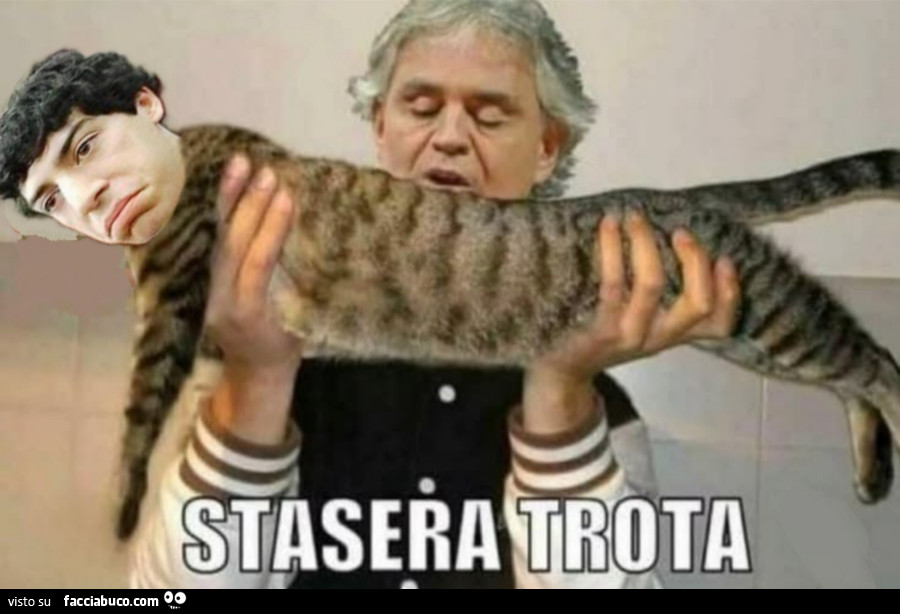 Vaccata