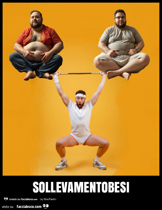Sollevamentobesi