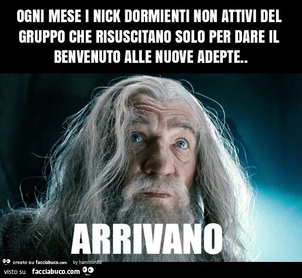 Ogni mese i nick dormienti non attivi del gruppo che risuscitano solo per dare il benvenuto alle nuove adepte