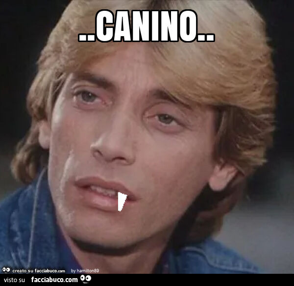 Canino