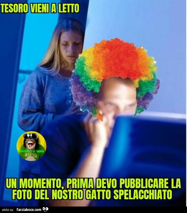 Tesoro vieni a letto un momento prima devo pubblicare la foto del nostro gatto spelacchiato
