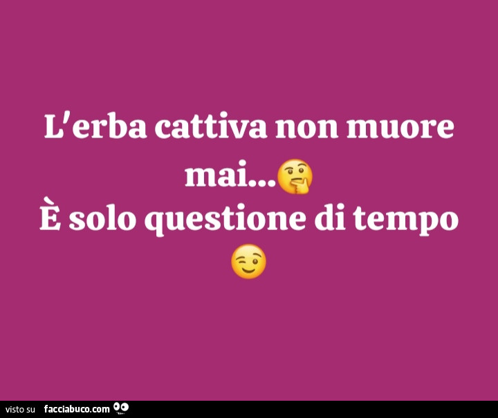L'erba cattiva non muore mai&hellip; è solo questione di tempo