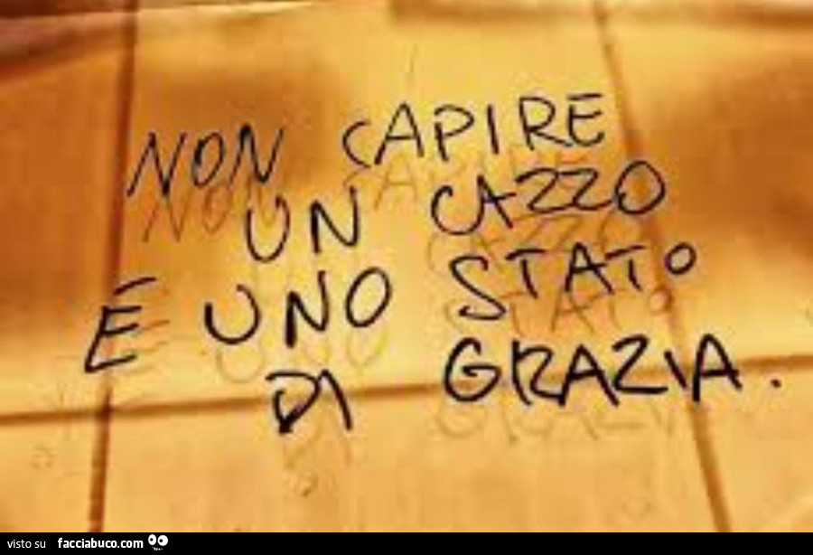 Non capire un cazzo