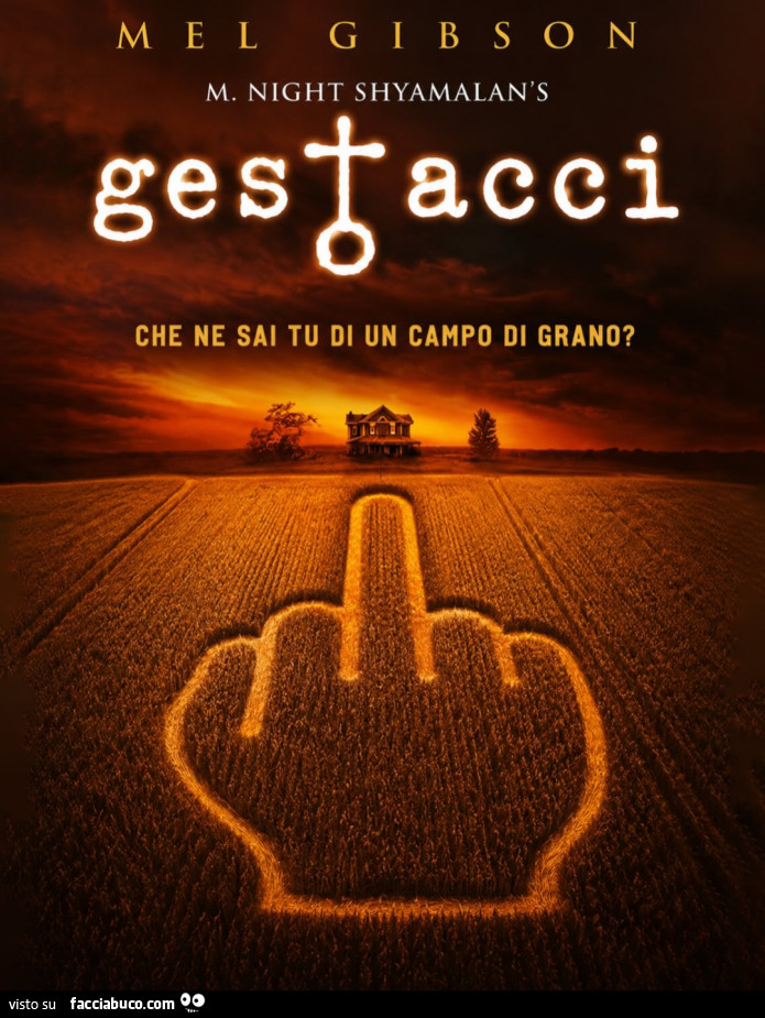 Gestacci che ne sai tu di un campo di grano?
