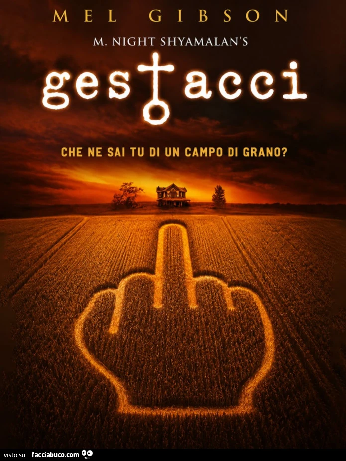 Gestacci che ne sai tu di un campo di grano?
