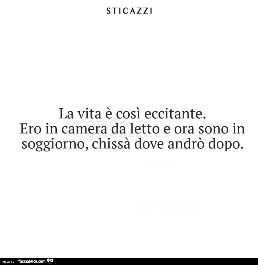 Sticazzi la vita è così eccitante. Ero in camera da letto e ora sono in soggiorno, chissà dove andrò dopo