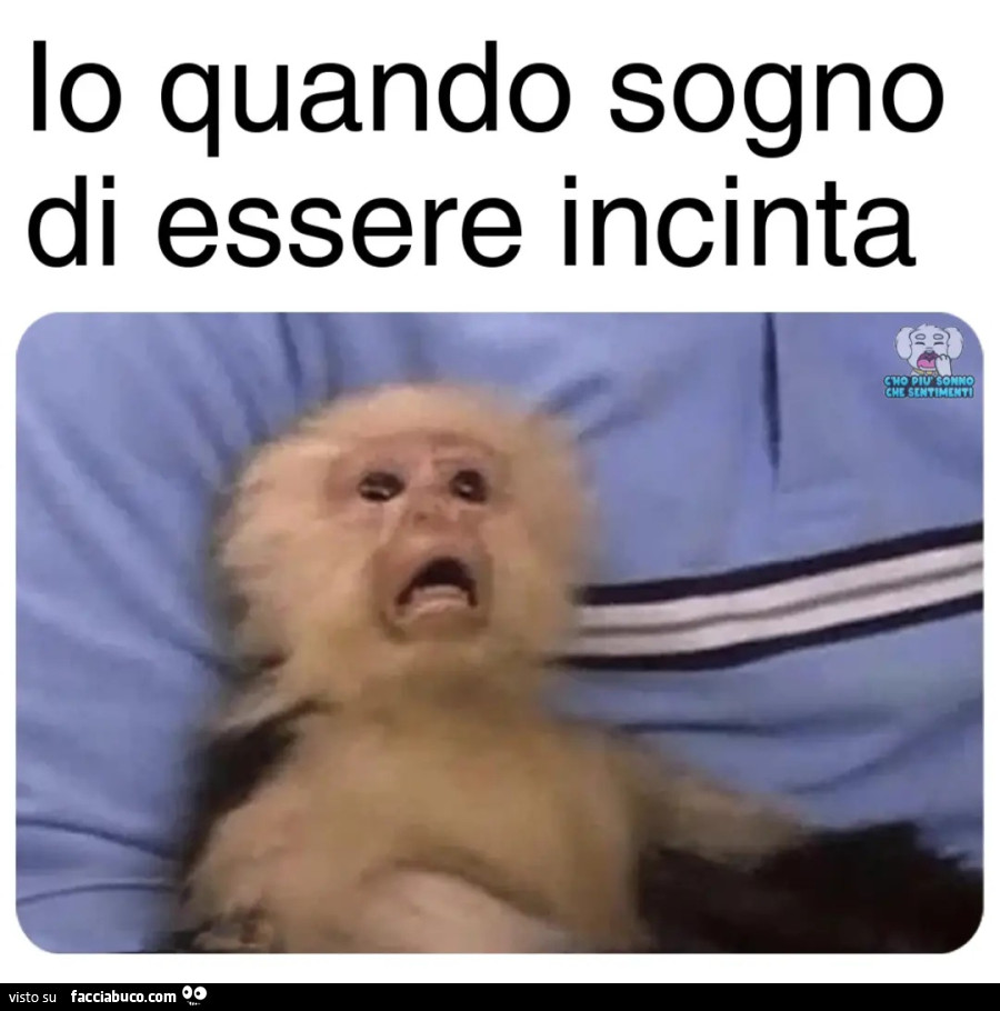 Io quando sogno di essere incinta