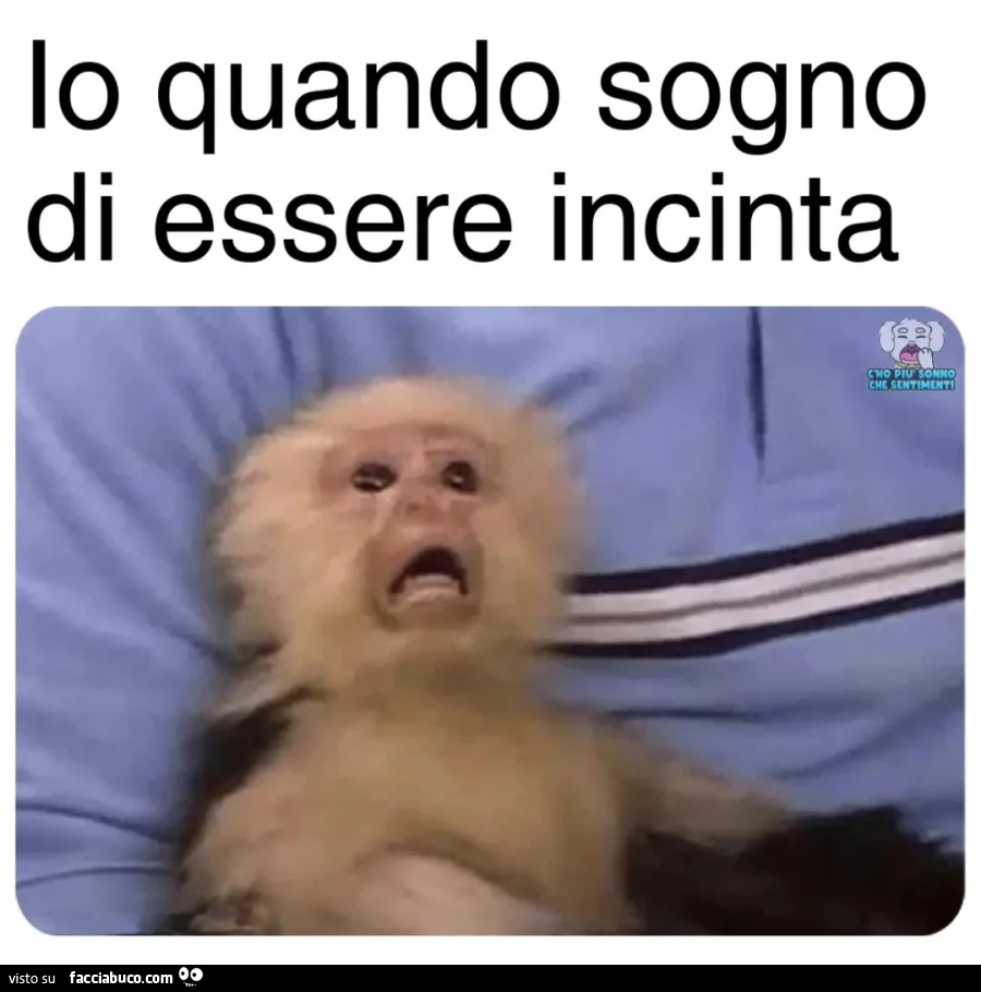 Io quando sogno di essere incinta