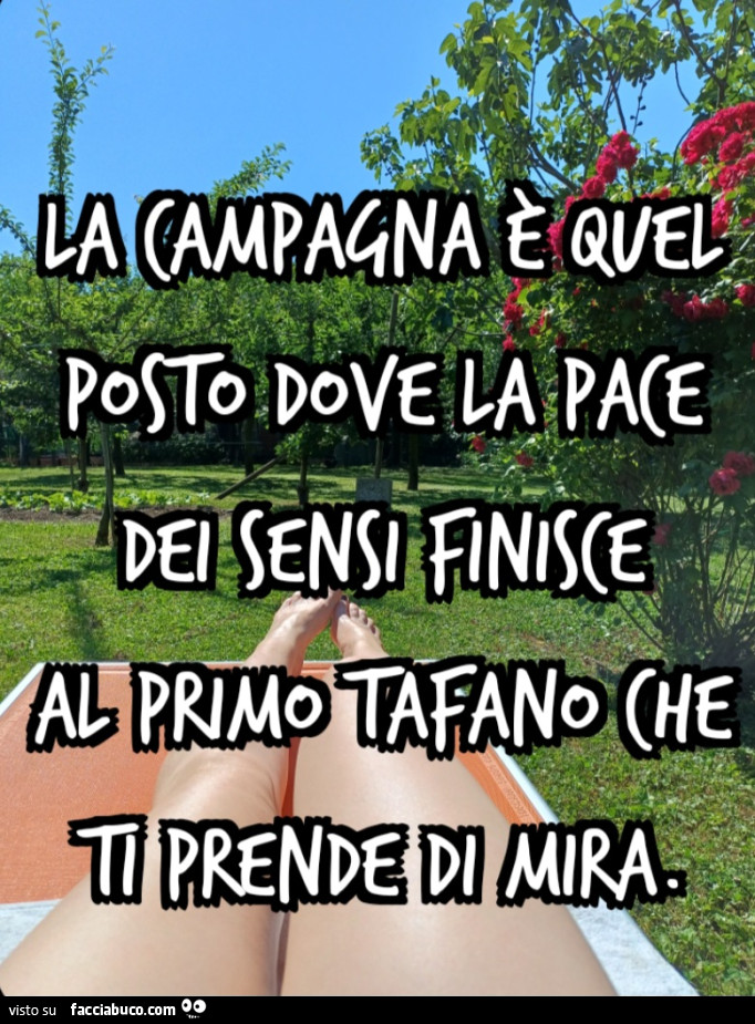 La campagna è quel posto dove la pace dei sensi finisce al primo tafano che ti prende di mira