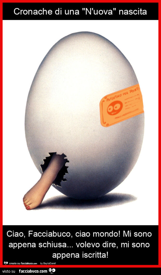 Cronache di una "n'uova" nascita ciao, facciabuco, ciao mondo! Mi sono appena schiusa&hellip; volevo dire, mi sono appena iscritta