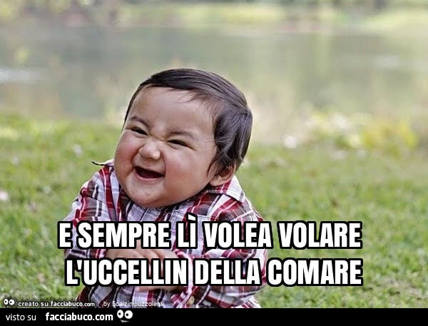 E sempre lì volea volare l'uccellin della comare