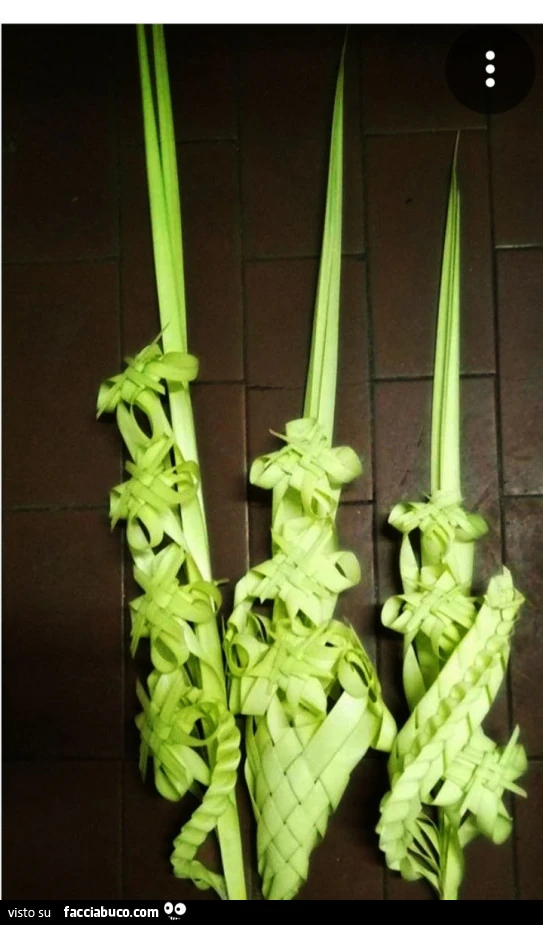 Vaccata