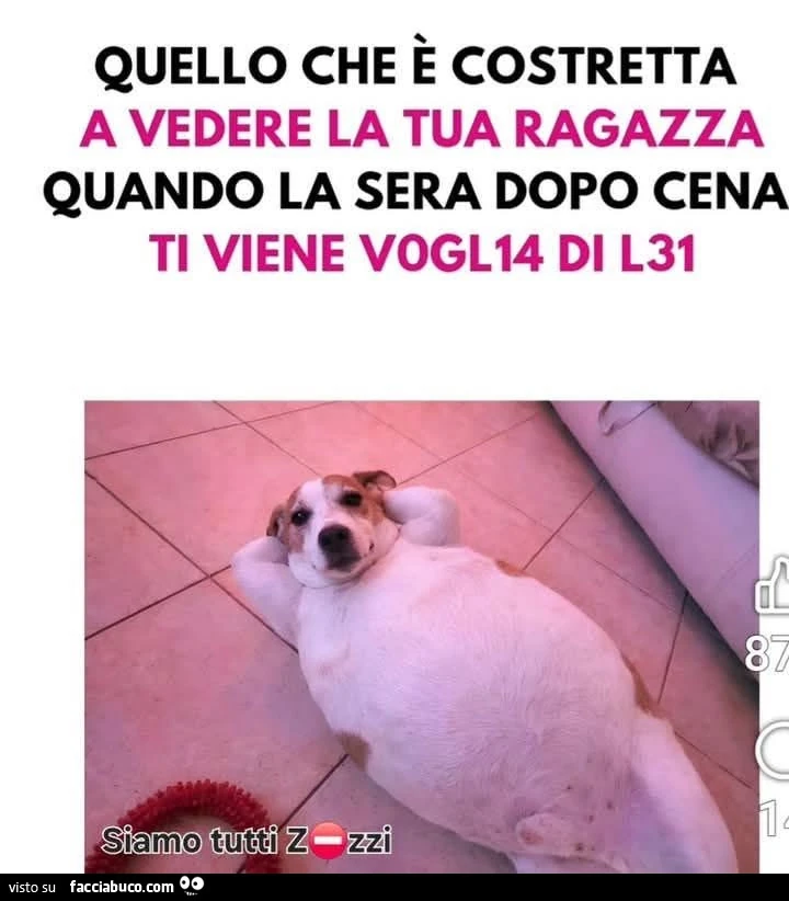 Vaccata